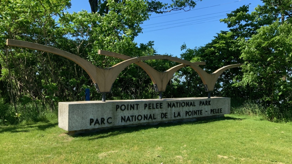 Point Pelee National Park in Leamington, Ont., on June 12, 2020. (Chris Campbell / CTV Windsor)