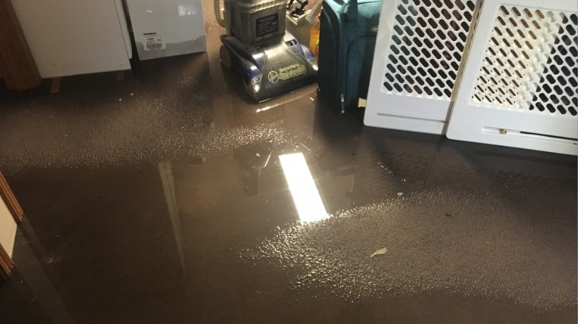 Basement flooding at a home in the 3900 block of Longfellow in Windsor, Ont., on Friday, Aug. 28, 2020. (Bob Bellacicco / CTV Windsor)
