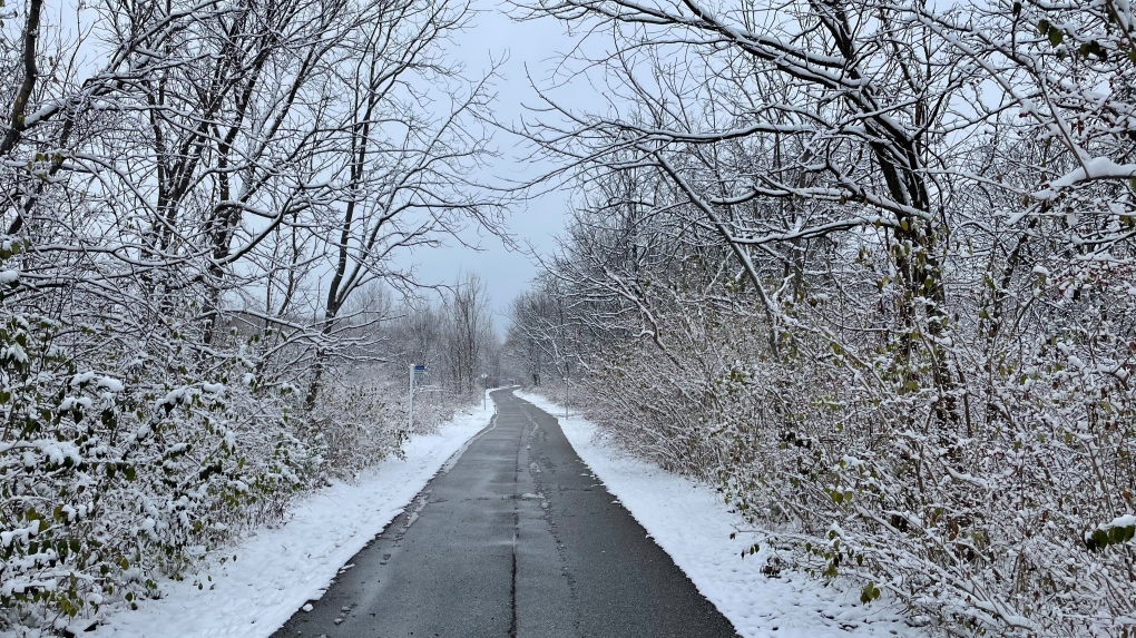 Snow covers the trees along the Ganatchio Trail in Windsor, Ont., on Sunday, Nov. 28, 2021. (Melanie Borrelli/CTV WIndsor)