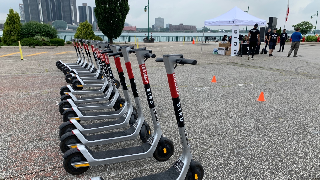 Bird e-scooters in Windsor, Ont. on Thursday, July 8, 2021. (Chris Campbell/CTV Windsor)