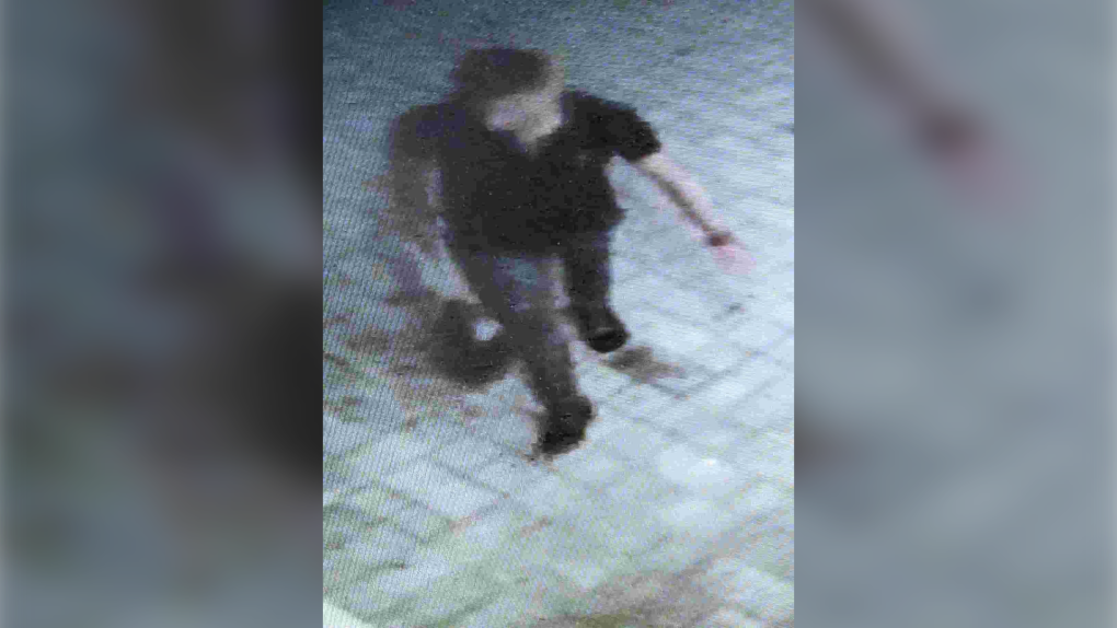 Suspect in sexual assault investigation in Windsor, Ont. (Courtesy: Windsor Police Service)