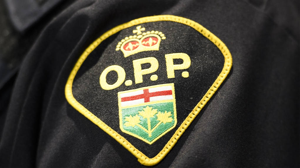 OPP are seeking people interested in becoming a police officer at a recruitment event in Orillia Oct. 1, 2022(CTV NEWS/BARRIE)