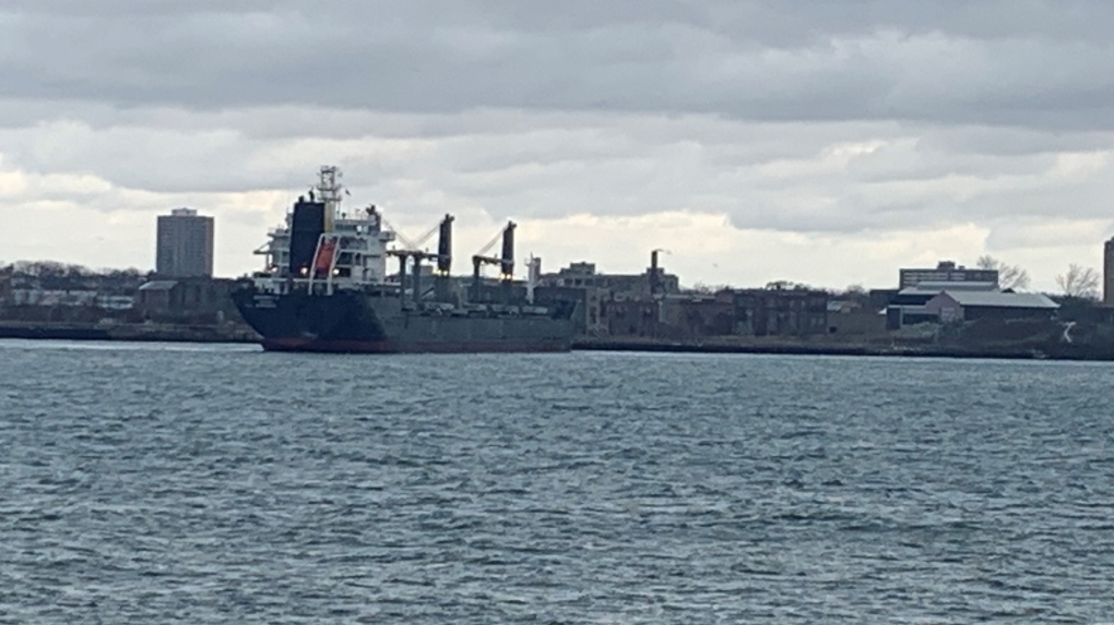 A freighter carrying 12,000 tonnes of wheat got stuck Monday morning in the Detroit River between Windsor and Detroit on Monday, Nov. 27, 2023. (Stefanie Masotti/CTV News Windsor)