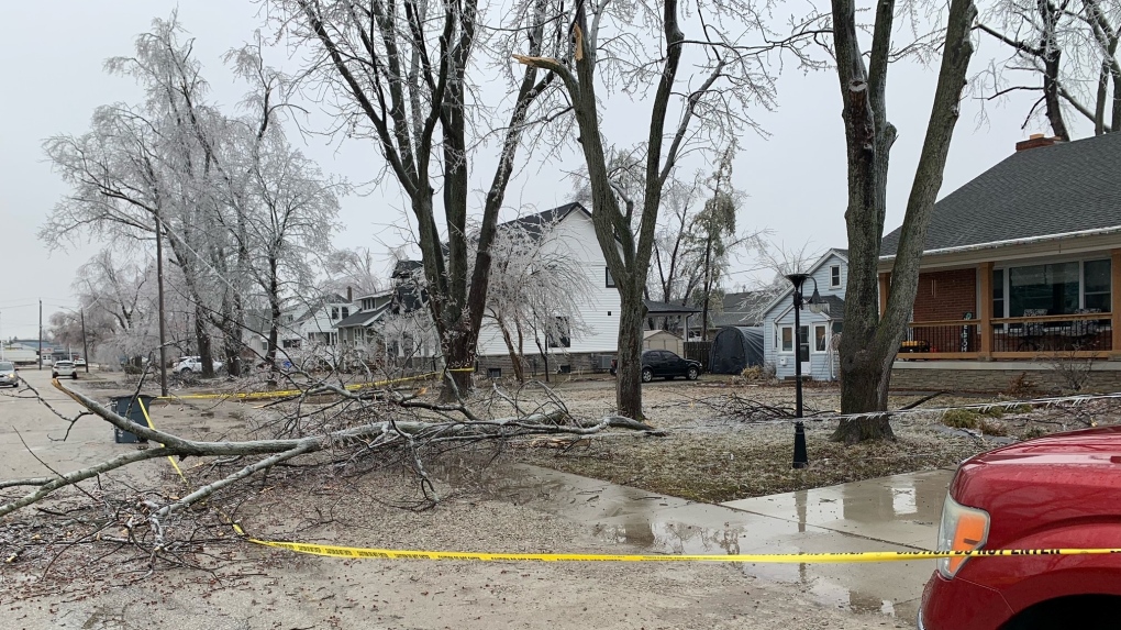 Damage after ice storm in Essex, Ont., on Thursday, Feb. 23, 2023. (Chris Campbell/CTV News Windsor)
