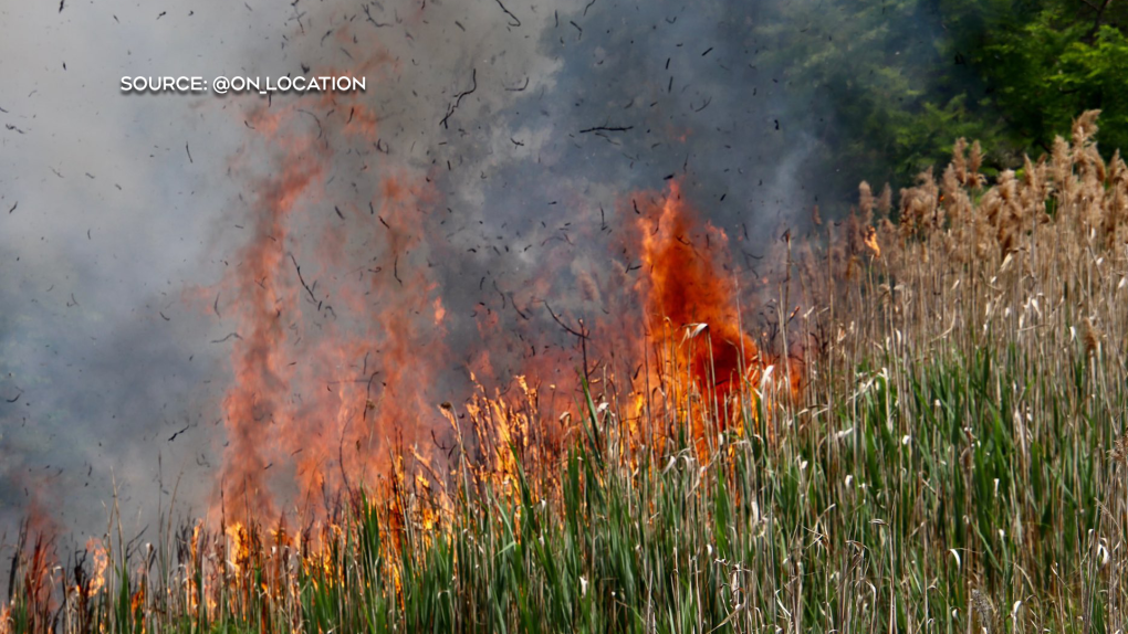 Fire in Malden Park on Sunday June 10 was not the result of a controlled burn (Source: @On_Location)