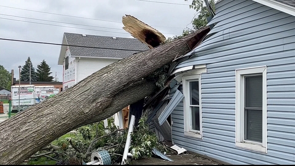 Extensive storm damage in Essex County