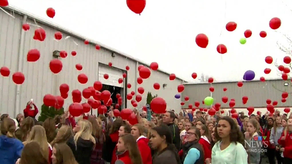 Balloon Release Ban Sought