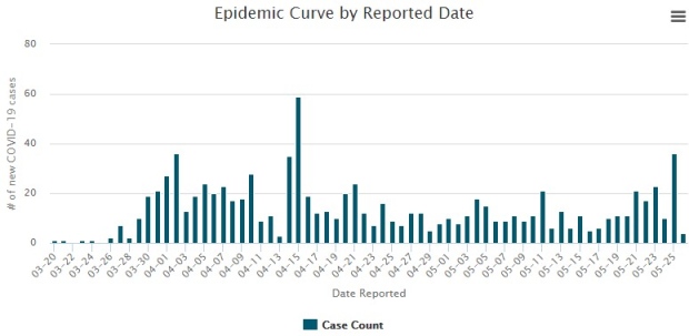 Epidemic curve